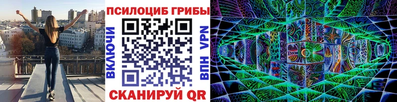 Псилоцибиновые грибы мицелий  купить наркоту  Кяхта 